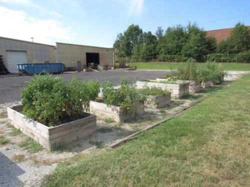 outdoor garden
